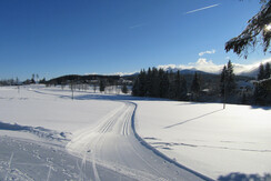Loipen in unmittelbarer Umgebung
