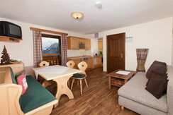 Haus Taxegger - App. Bischofsmütze - Wohnraum