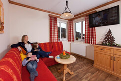 Haus Taxegger - App. Planai - Wohnraum