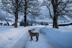 Wanderwege vor dem Hotel