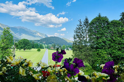 Blick aus dem Fenster