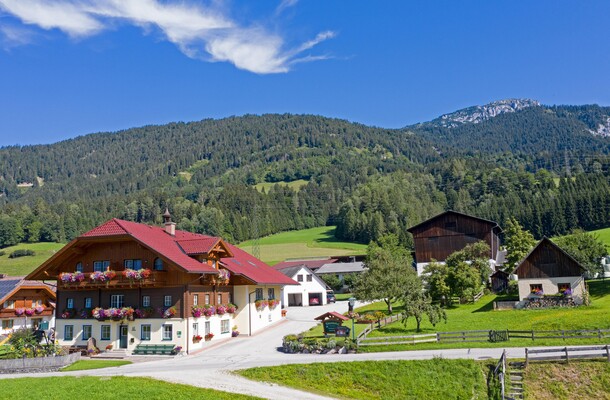 Kainreiterhof - Hausansicht im Sommer