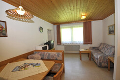 copyright_shooting-star (45)