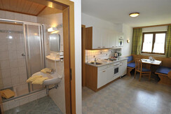 copyright_shooting-star (40)