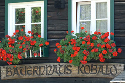 appartement-bauernhaus-kobald