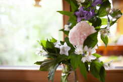 Blumen aus dem Garten