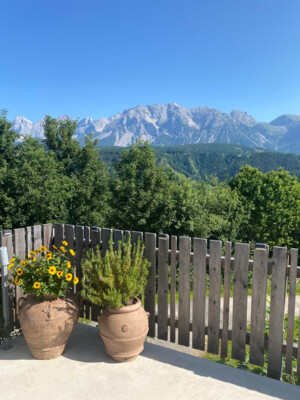 view from Lnadhaus Trinker