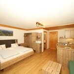 obrázek Apartmán, sprcha, WC, obytný/spací prostor