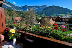 Aussicht großzügiger Balkon