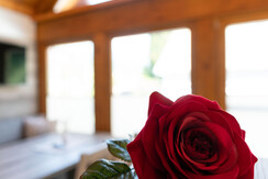 appartement_mina-und-hansl-12