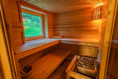 Almaufnahmen Minzl am 17.07.2022-46