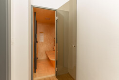 Penthouse infrared cabin