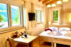 Montanara - Studio Dachstein (2)