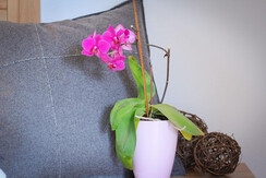 Naturnah Appartement - Appartement Wilde Wasser (3