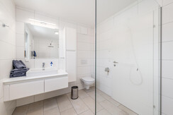 Neualm 5 von myNests Aaprtment Schaldming Dachstei