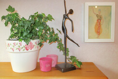 panorama appartement buche-8