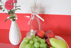 panorama appartement buche-5