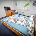 Bild von Appartement 4-5 P. (1)