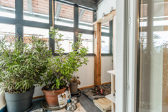 Eigener Hunde oder Katzen  Raum im EG