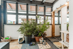 Dein Haustier darf mit!!