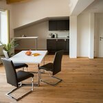 obrázek Apartmán, WC a vana/sprcha odděleny, 1 místnost na spaní