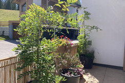 2370BA78-2D39-482D-BD23-28DB4230339B