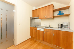 Fully equipped kitchen in the Lärche 1 apartment
