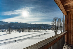 Limitless sun spoilt view