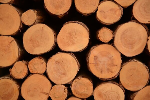 2014_12_Ramsbergerhof_Fotoshooting120