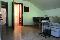 APP BH Wohnraumküche mit Blick zur Dusche und WC m