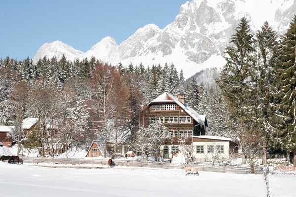 Reiterhof_Brandstätter_Ramsau_Dachstein_Bauernhof_