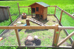 Hasenhof Sommerresidenz