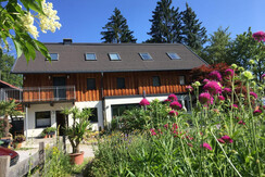 Letní pohled na budovu