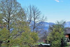 Pohled do zimní zahrady (lodžie)