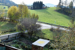 Blick zum Garten