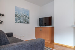 Sofa and TV in the living room