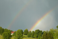 Regenbogen