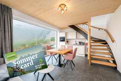 StoderLodge-2-Apartment-Groebming-Schladming-Dachs