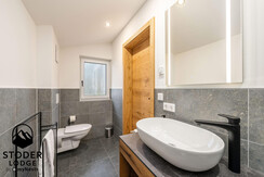 StoderLodge-2-Apartment-Groebming-Schladming-Dachs