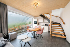 StoderLodge-2-Apartment-Groebming-Schladming-Dachs