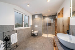 StoderLodge-1-Apartment-Groebming-Schladming-Dachs