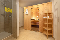 Sauna in the basement