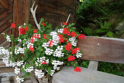 Sitzgelegenheit vorm Troadkastl