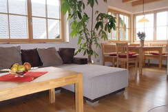 Geräumiger Wohnbereich