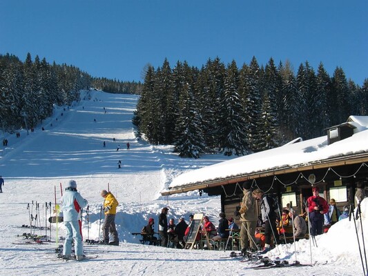 Alpin Ski 1