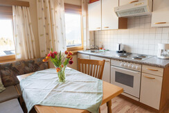 Trillerhof-Ramsau-am-Dachstein-Appartments-Ferienw