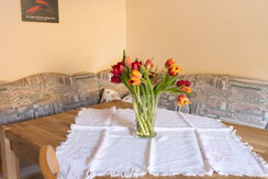 Trillerhof-Ramsau-am-Dachstein-Appartments-Ferienw