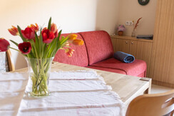 Trillerhof-Ramsau-am-Dachstein-Appartments-Ferienw