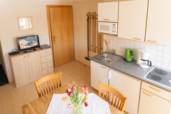 Trillerhof-Ramsau-am-Dachstein-Appartments-Ferienw