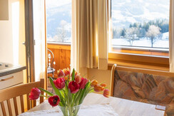 Trillerhof-Ramsau-am-Dachstein-Appartments-Ferienw